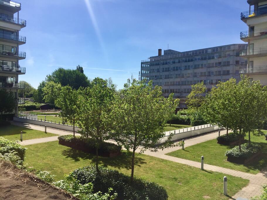View from the morning balcony/communal garden