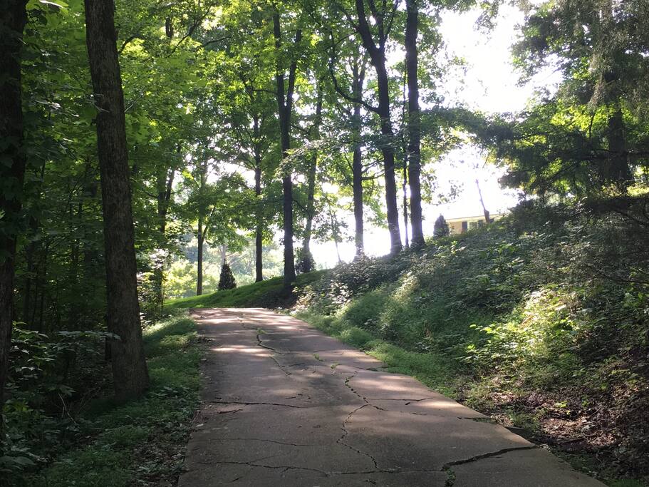 Coming up the long driveway.