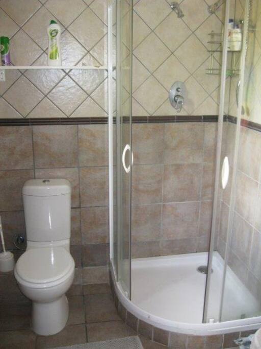 Toilet and shower