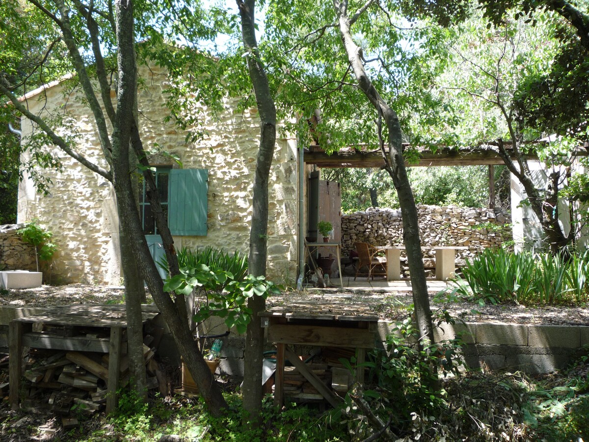 A charming stone building is partially obscured by trees, featuring light blue shutters. The rustic exterior is complemented by a shaded terrace with visible wooden furniture. A stone wall adds texture, and nearby greenery enhances the natural setting.