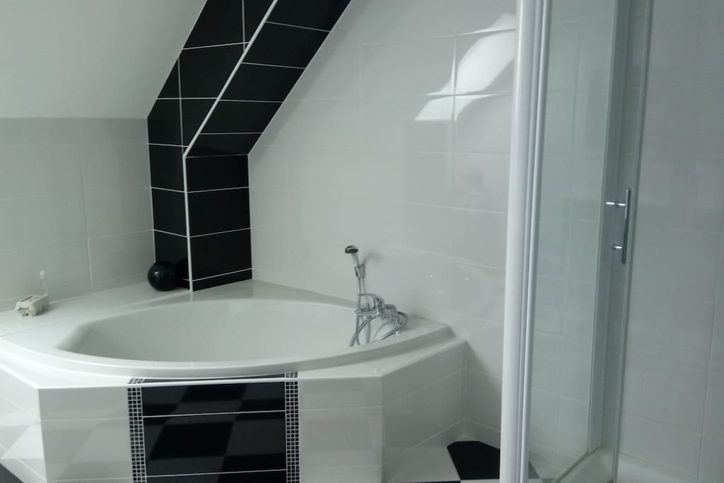 salle de bain (baignoire + cabine douche)