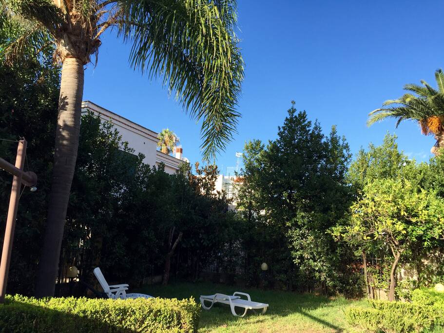 Giardino