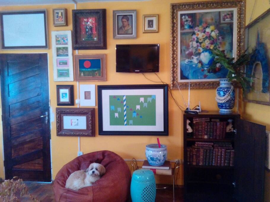 Sala de Estar e Tv