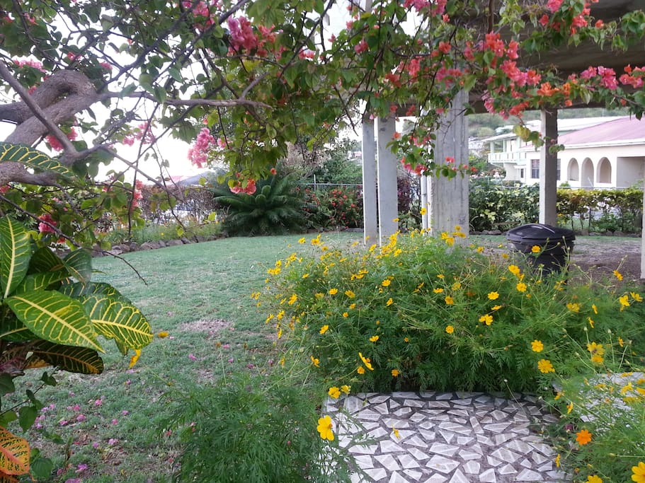 Garden area