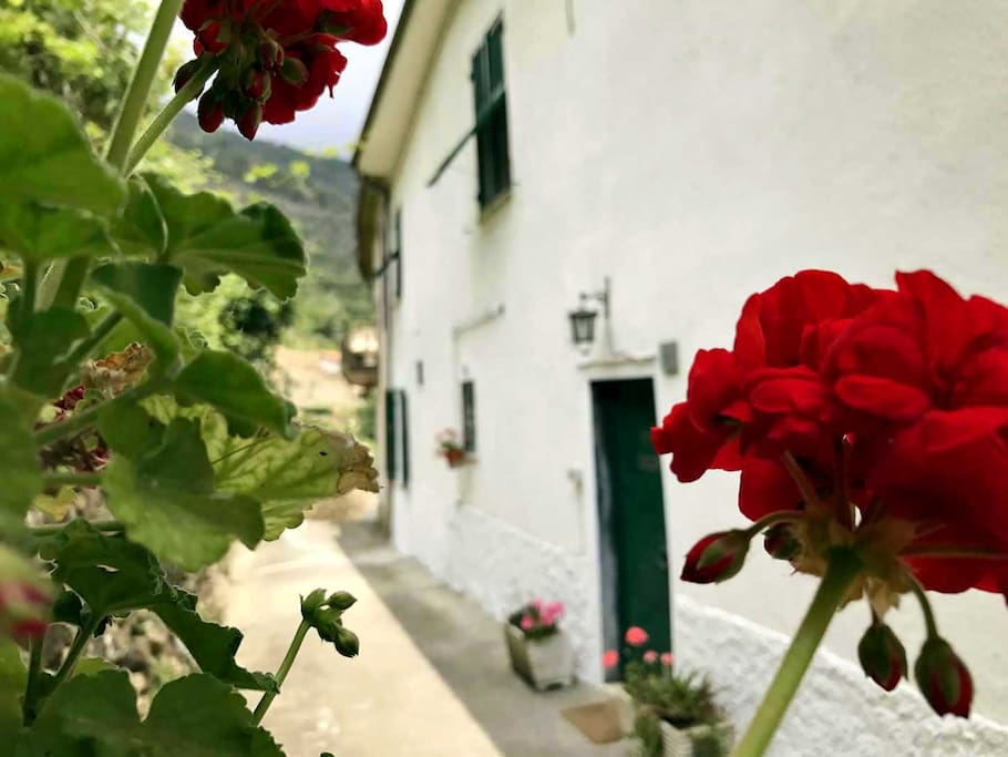 Carruggio di ingresso alla Ca' Longa