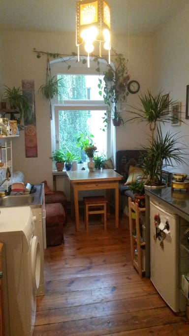 Die Küche / The Kitchen