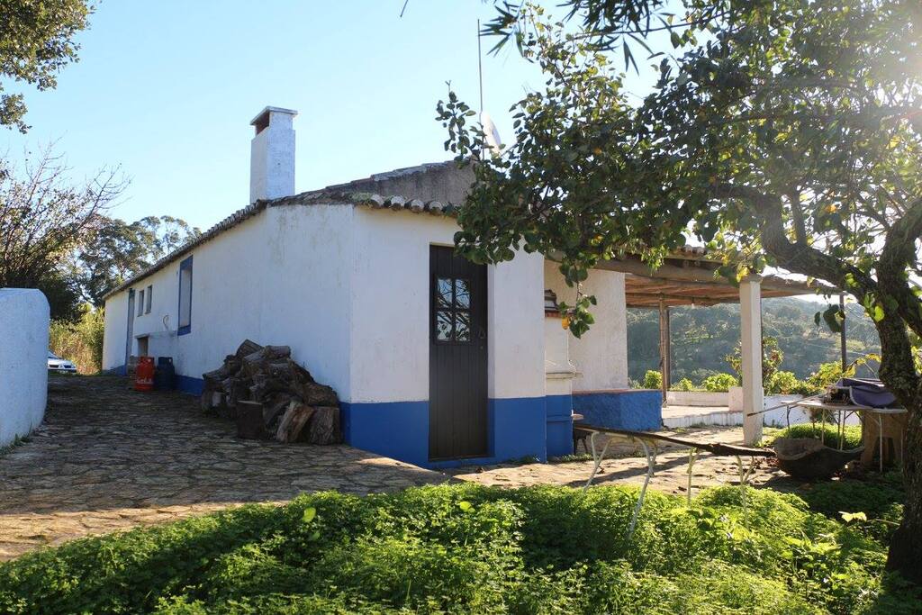 Vista traseiras