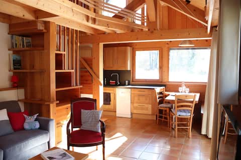 Airbnb performant: At Marc's in a bright and warm wooden chalet. à Saint Gervais Les Bains