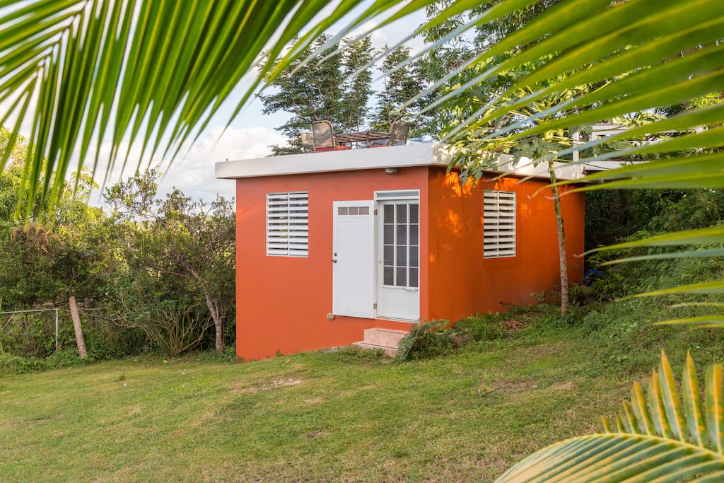A cute cozy cabana under a shady mango tree -The Mango Cabana!