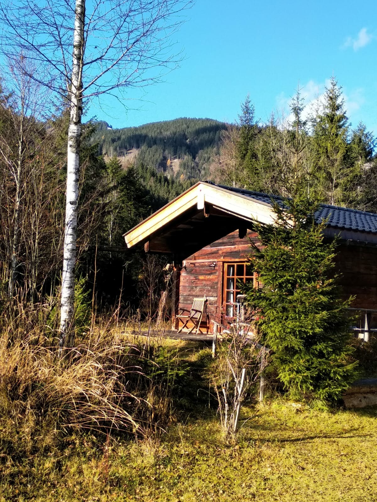 A charming cabin is framed by woodland and greenery, featuring a sloped roof and large windows. A small porch with wooden seating is visible, inviting relaxation. Surrounding mountains and tall trees create a serene backdrop, capturing the essence of nature in Hinterriss.