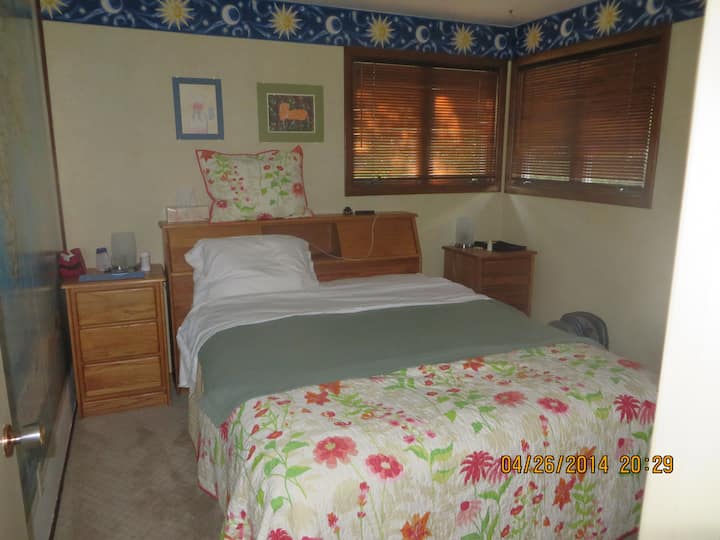 Bedroom with queen bed, night stands, corner window, new carpet,