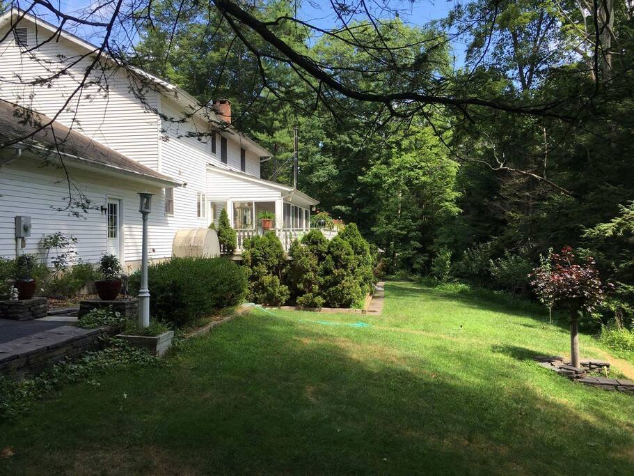 The backyard