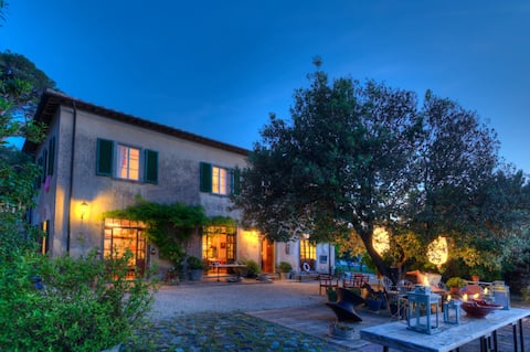 Gorgeous art-filled villa facing crystal sea