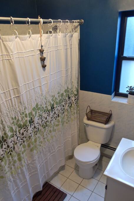 Your CLEAN, spacious bathroom (host has separate bathroom)
