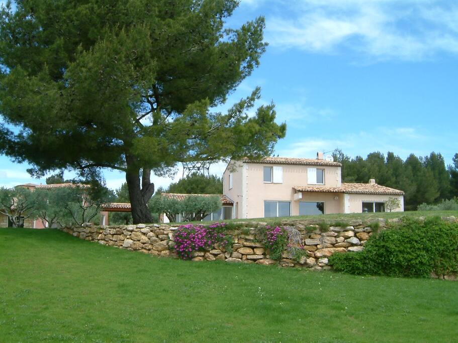 Grand mas en Provence au milieu des oliviers et des pins centenaires.