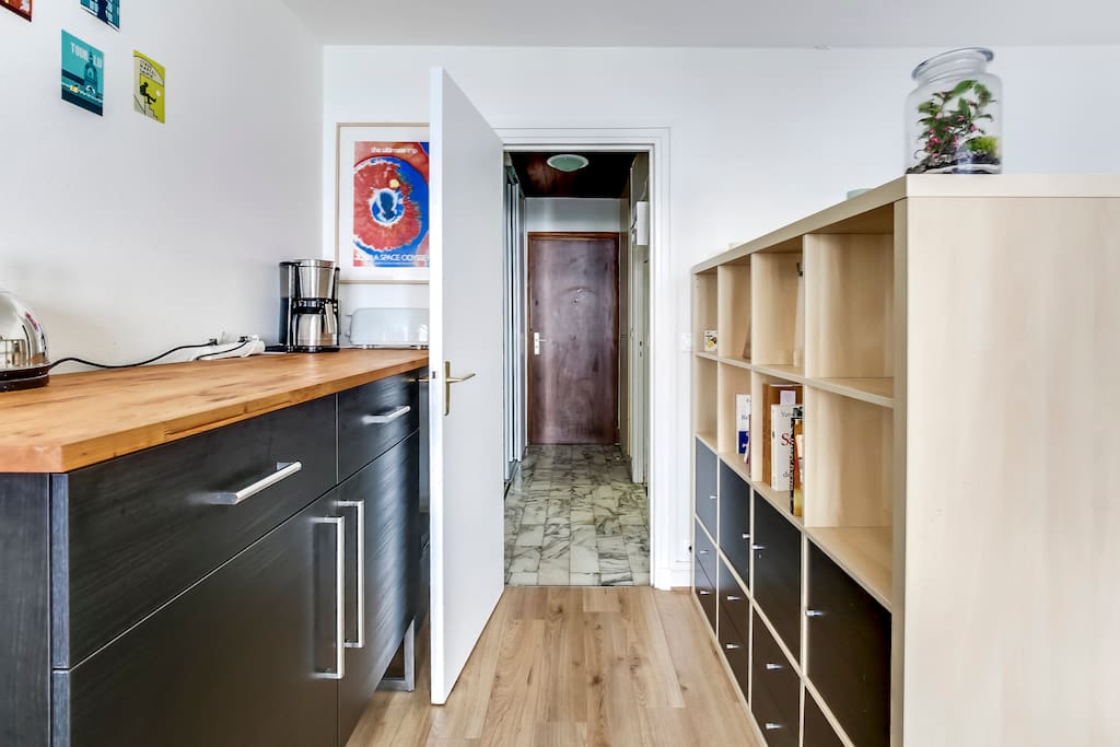 Couloir et porte d'entrée// Hallway and flat door