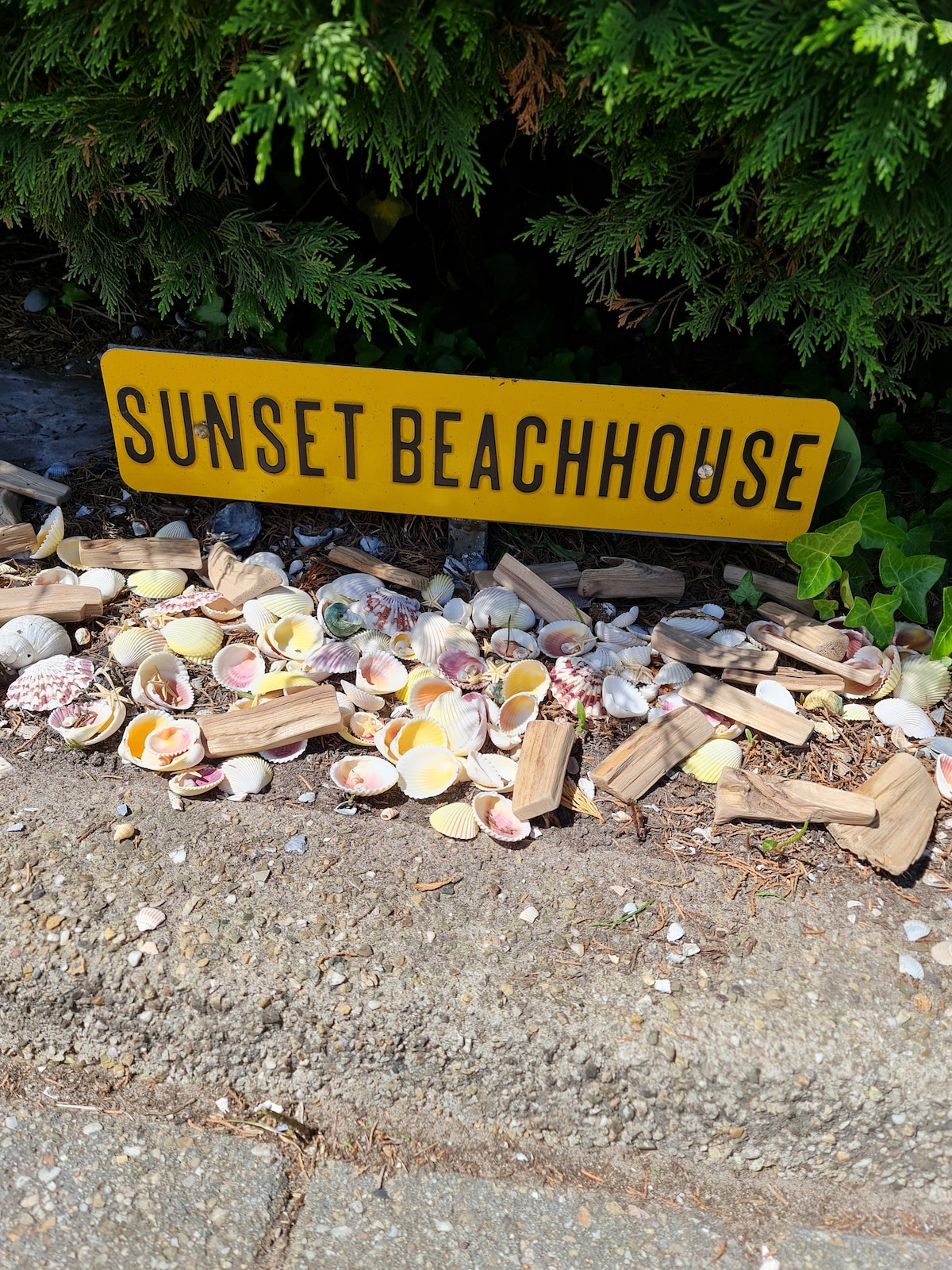 A vibrant sign reading 'SUNSET BEACHHOUSE' is positioned among a collection of seashells and natural debris. Various shapes and sizes of shells are scattered on the ground, accompanied by pieces of driftwood, with greenery visible in the background.