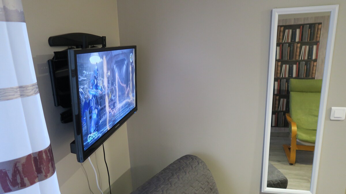 Televisión de pantalla plana 