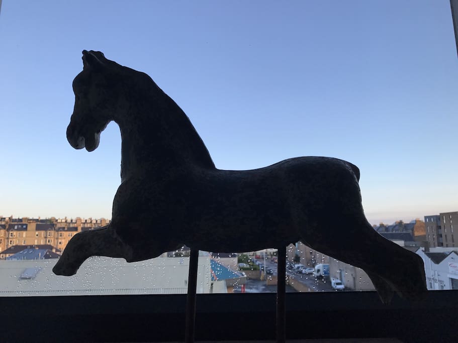 Ned the resident three legged horse