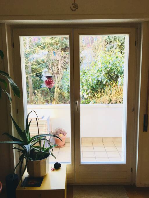 A look out the balcony to the backyard.