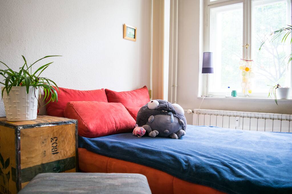 the comfy sofa-bed