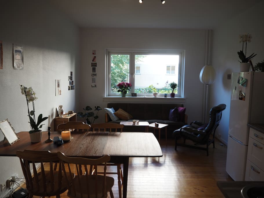 Kitchen and living room