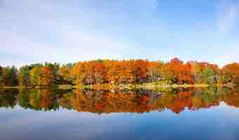 A calm lake reflects a vibrant display of autumn foliage along the shoreline. The scene is complemented by a clear blue sky and a still water surface, enhancing the natural beauty of the setting. Trees in shades of orange, red, and green create a scenic backdrop.