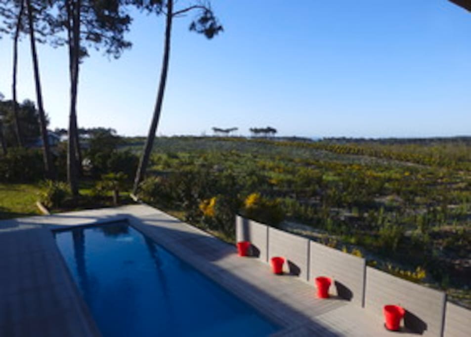 Vue depuis la maison avec étage