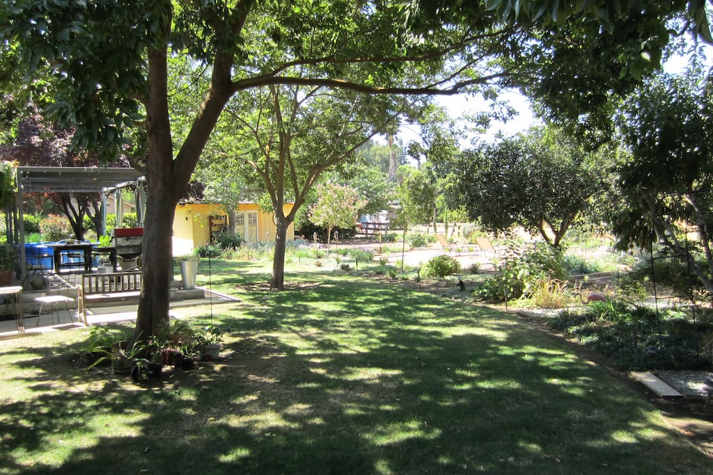 Shady backyard with areas for relaxing or entertaining