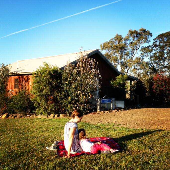 Enjoy the native gardens