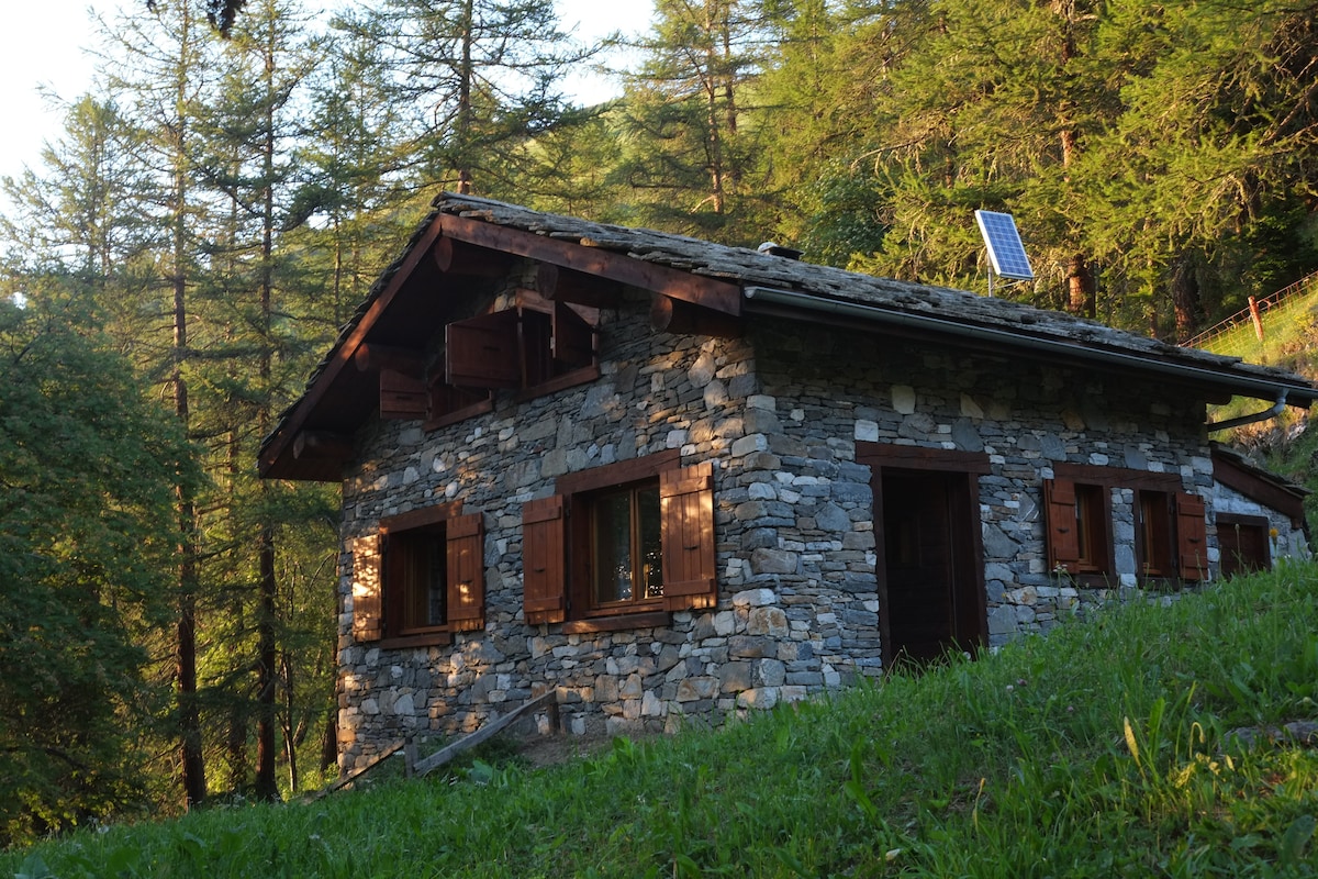 A traditional stone cabin is set in a lush green landscape, surrounded by tall trees. Natural light highlights the rustic wooden shutters and the stone façade. Solar panels are visible on the roof, contributing to the cabin's charm and functionality in the mountain setting.