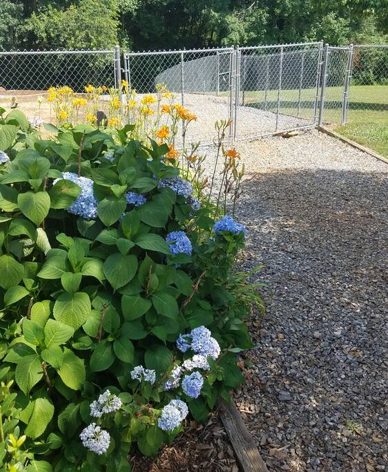 Parking area and gardens leading to private entrance.