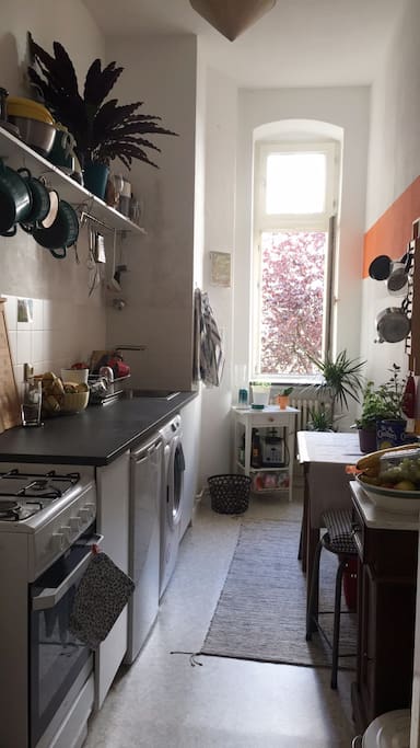 Kitchen + Laundry