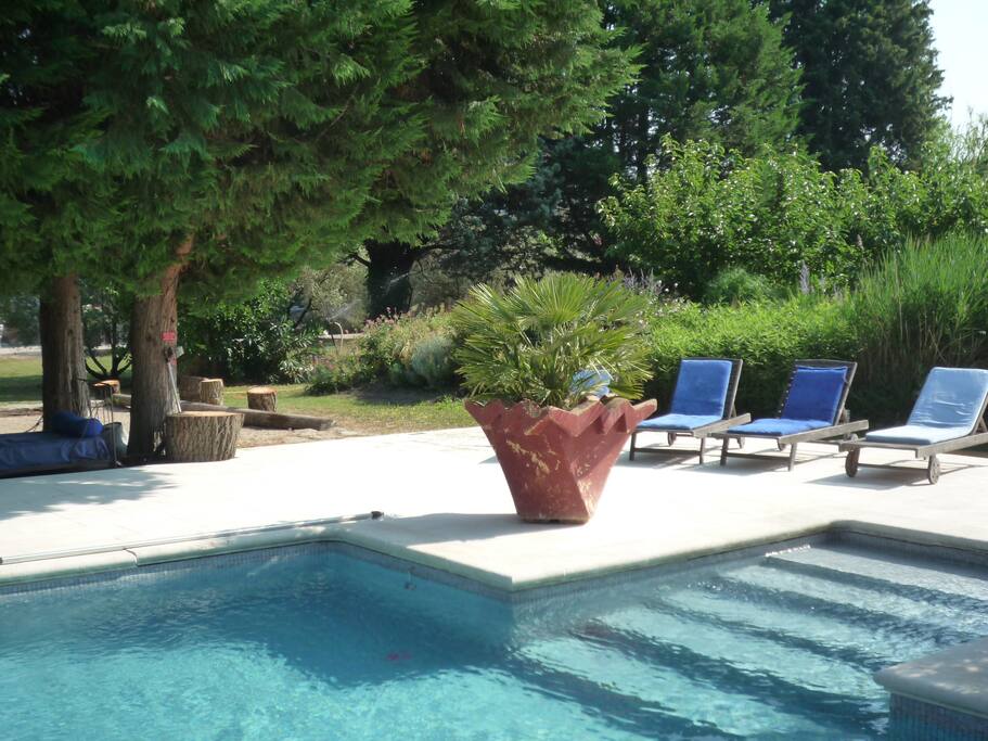 Piscine 11mx6