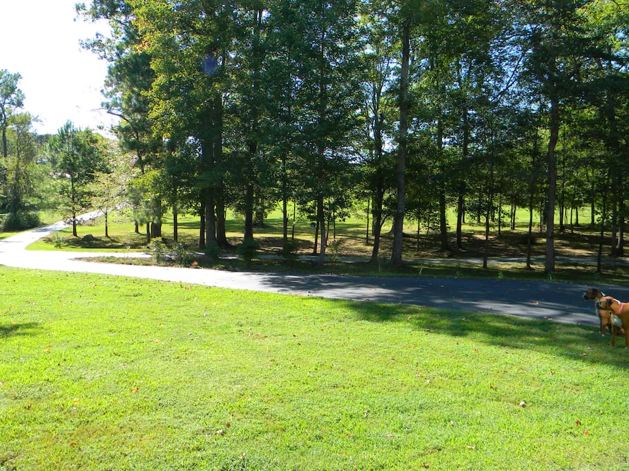 Our Driveway to our Beautiful Home.
