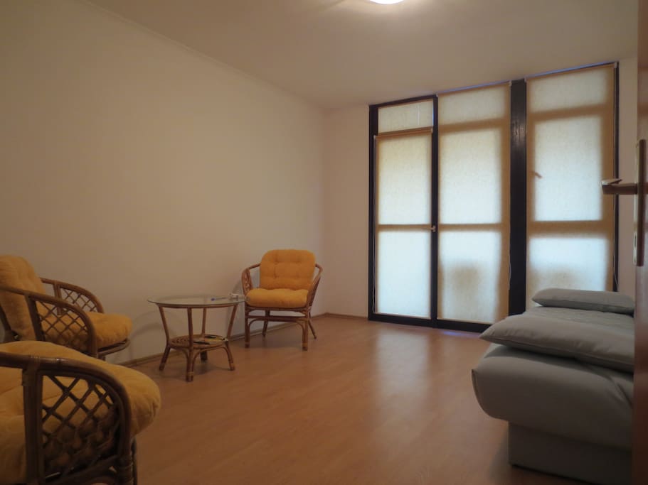 It's a living-room with a large sofa. There is a balcony (8sq.m) in the room.
Гостиная-спальня.