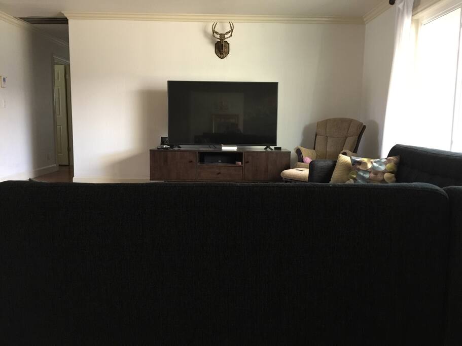 65in TV viewable from living/dining/backyard
