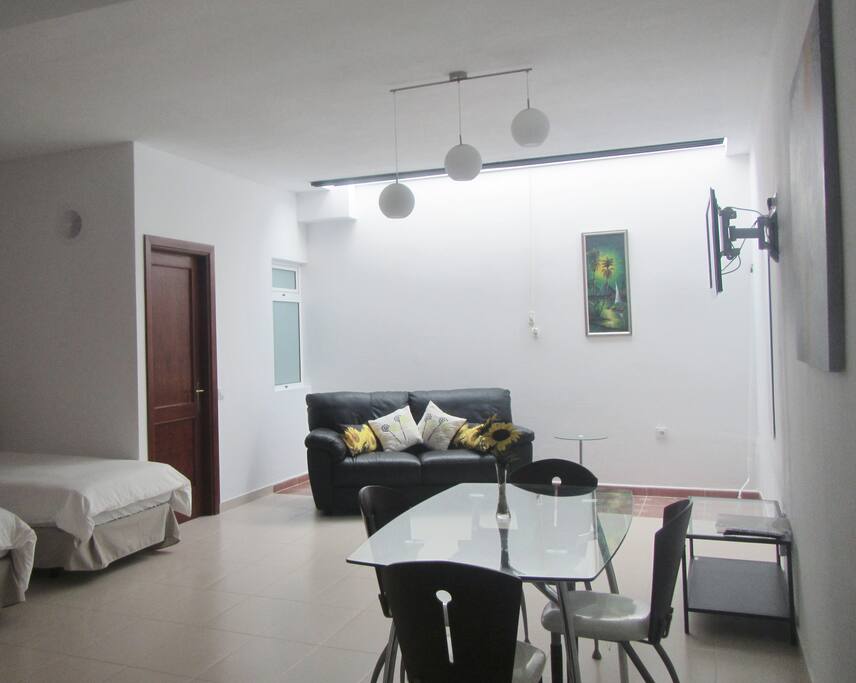 Light and Airy Apartment ....large studio room plus another room.....very clean too!
