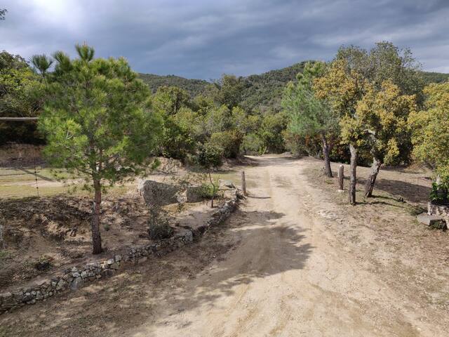 Masia de Pierre en pleine nature 10 min de la mer gallery image 5