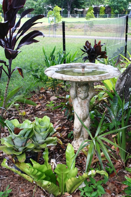 Bird bath in garden