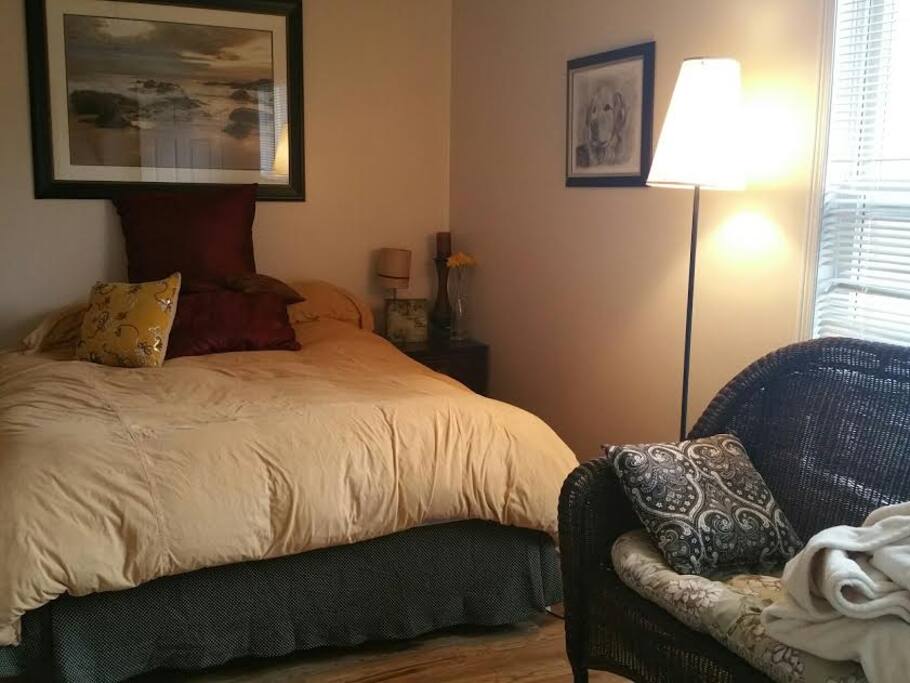 Queen bed, lots of light