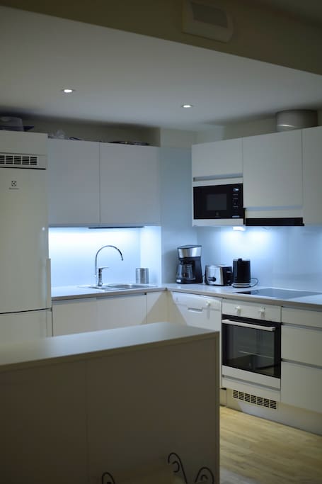 Brand new kitchen with all modern appliances