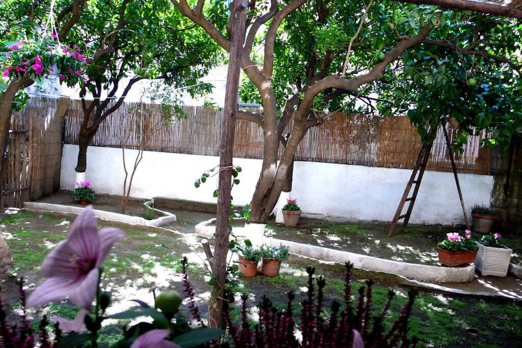 il giardino visto dal soggiorno