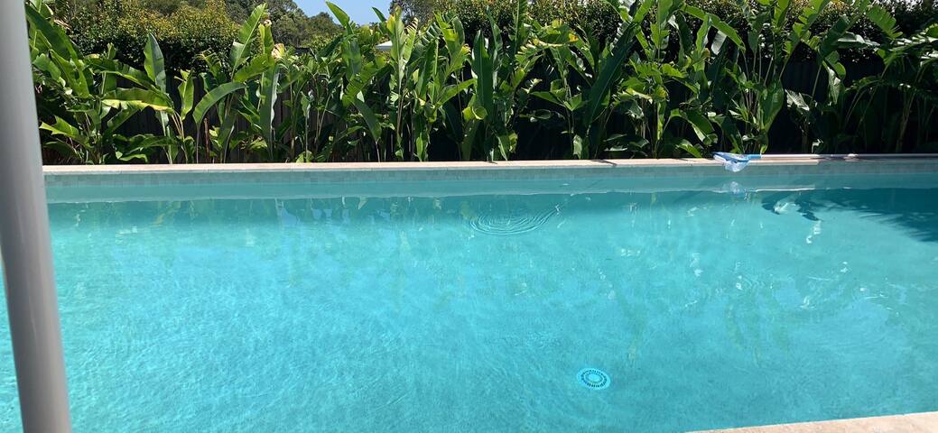 Peaceful Oasis in the Springs gallery image 4