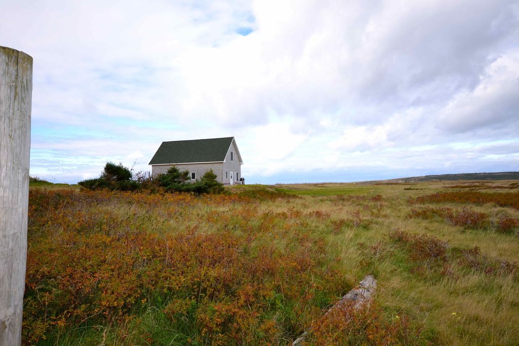 A quaint cottage is seen nestled among vibrant autumn foliage, with grasses and wild shrubs surrounding its exterior. The building features a sloped roof and light-colored siding, blending harmoniously with the natural landscape under a partly cloudy sky.