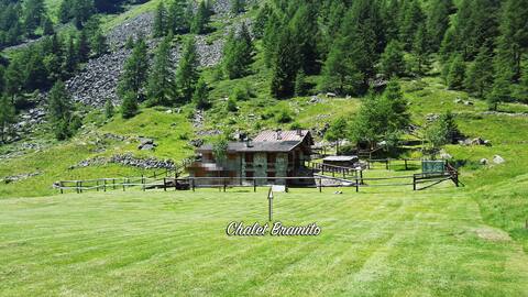 Deer belling Chalet