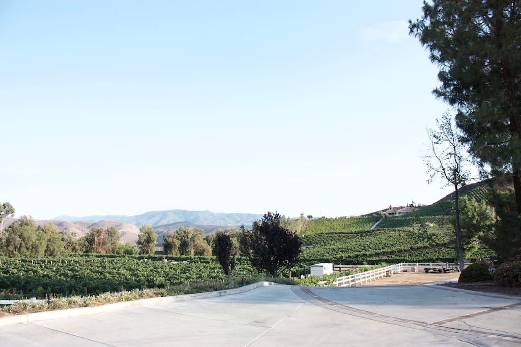 Living Room Vineyard Views of Oak Mountain Winery & Mt. Palomar