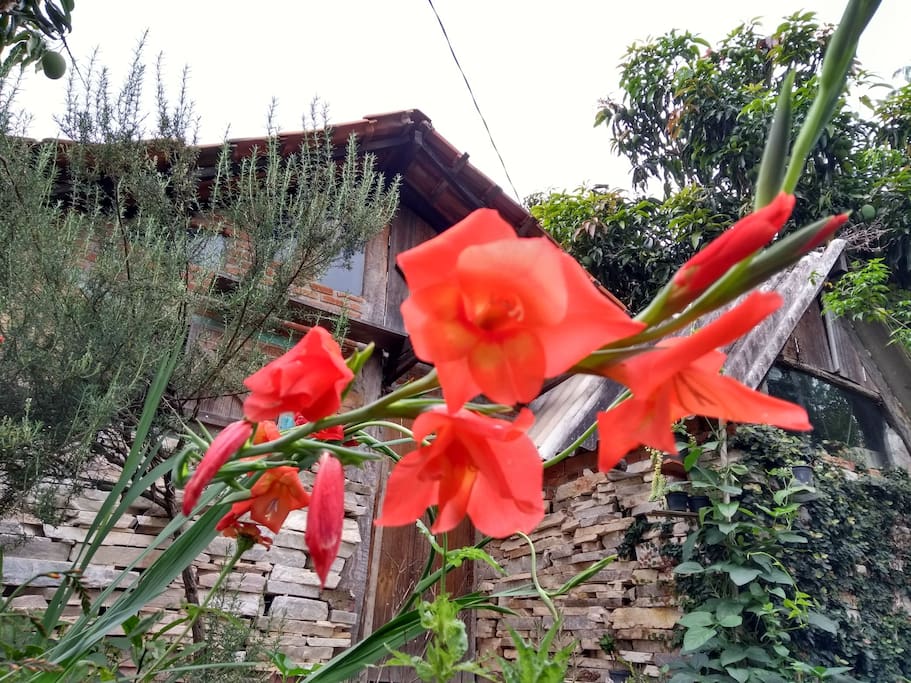Frente e fachada do Chalé