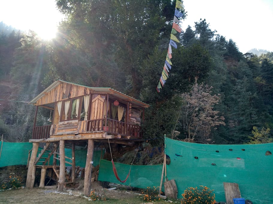 Tree house