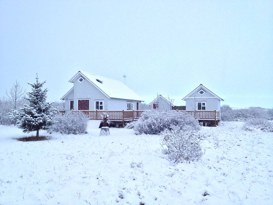 Winter wonderland